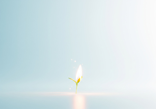 Fundación e historia de Autolux